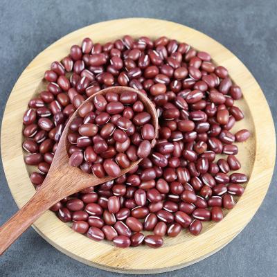 China Wholesale OEM ODM Dwarf Kidney Bean Dry Red Kidney Bean Small to Medium Round Fermented Adzuki Beans for sale