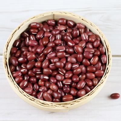 China China Dried Origin Around Red Kidney Beans Wholesale High Quality Red Kidney Beans for sale