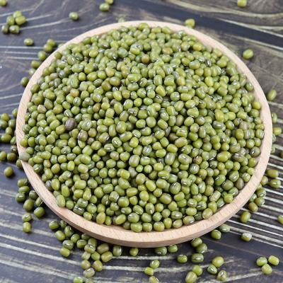 China Best Seller 3.25mm Green Dried Mung Beans Up From Myanmar Origin for sale