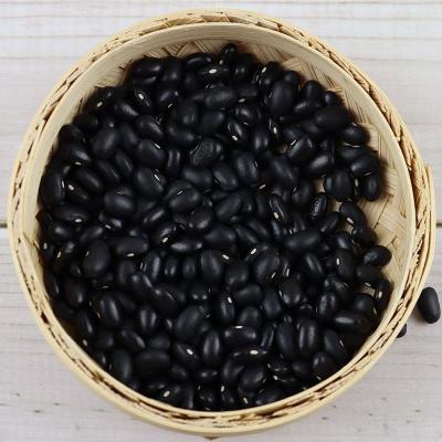 China Dried Kidney Beans \ Good Quality 400g Canned Black Beans For Dark Food \ Kidney Beans for sale