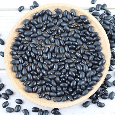 China Dried baby black kidney beans for sale