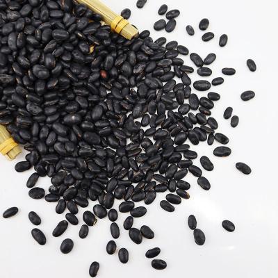 China Wholesale Dry Dried Kidney Bean Long Shape British Black Dark Dwarf Beans For Export for sale