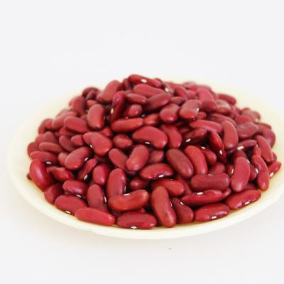 China Wholesale Dry Organic Dark Red Kidney Kidney Bean for sale