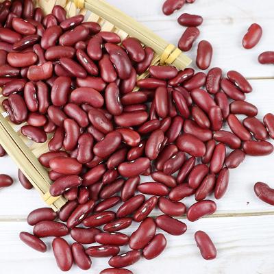 China Export Price Hot Selling Red Dwarf Beans Dry Red Kidney Beans With High Quality for sale