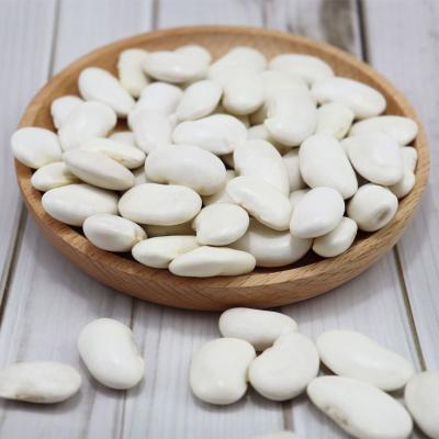 China Dried Chinese Canned White Kidney Beans for sale