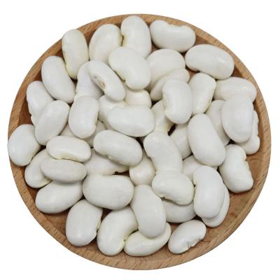 China High Quality Dried White Pea Bean Turkey Wholesale Long Form 25KGs 50KGs Bulk 100 Kgs Bag Organic High Grade for sale