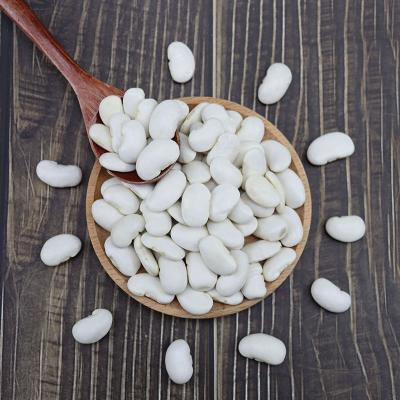 China Original Wholesale White Dwarf Beans Turkey Dry High Quality Bulk Pack for sale