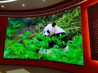 China P4.81 Display Panel For Church Rental Wedding Stage Backdrop Video Wall 500*1000 Indoor Led Screen for sale