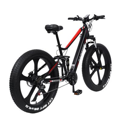 China Aluminum Alloy RANDRIDE 500W750W1,000 Inch 48v Snow Bike Display Beach Mountain Bike LCD Adult Electric Bike for sale