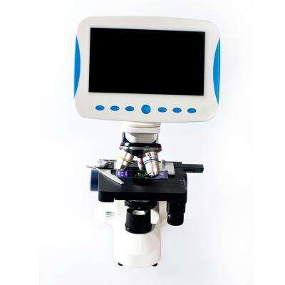 China 7 inch China LED light LCD display/microscope visual biological microscope with LCD screen theory biological microscope BL-2208TV for sale