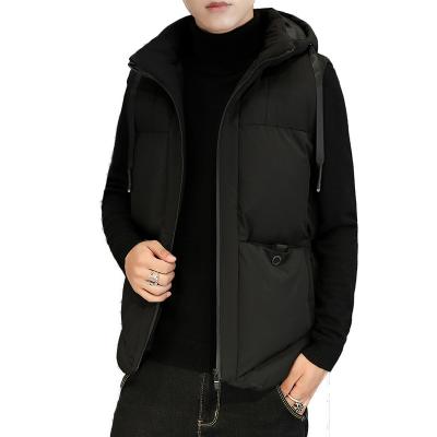 China Custom Anti-Wrinkle Logo Winter Men's Down Jacket Cotton Hooded for sale