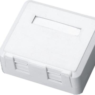 China LEFT BLANK OUTDOOR NETWORKING 2 MOUNT BOX for sale