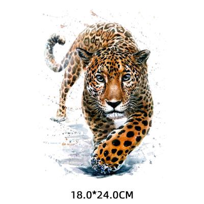 China 3D Tiger Patches Iron-On Transfers For Appliques DIY Apparel On T-Shirt For Man Bachelor's Degree Stickers Thermal Transfer Dries for sale