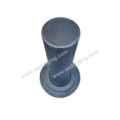 China Forging Products forged steel manufacturers Hot Forging Carbon Steel Die Forged Flanges Gear Shaft for sale