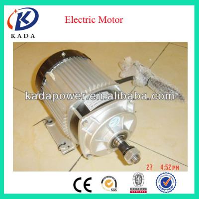 China Passenger 24V 36V 48V 220V 310V 500W Brushless DC Motor For India And Bangladesh Electric Tricycle for sale