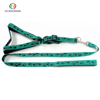 China New Viable Dog Pet Accessories Hot Products Lead Nylon Dog Collars And Leashes For Outdoor Activities for sale