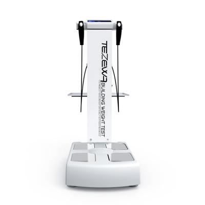 China Wholesale Gym Professional Human Body Analyzer With 230 Printer Body Composition Analyzer for sale