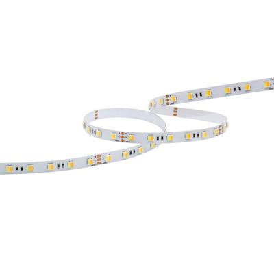 China IP20 5050 60LEDs 24V 14.4W Bicolor Adjustable Residential LED Strip LED Strip for sale