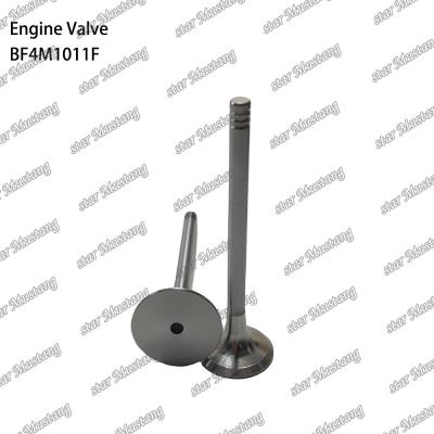 中国 BF4M1011F Engine Piston Valve For Deutz Engine Spare Parts 販売のため