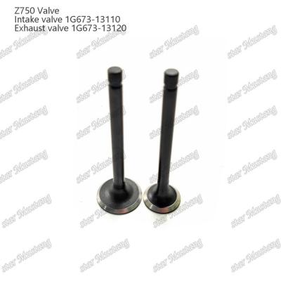 China Integral Structure Valve Z750 1G673-13110 1G673-13120 Diesel Engine Part Original Stock with Online Support After for sale