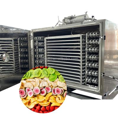 China 100KG Industrial Vacuum Food Freeze Dryer Lyophilizer for sale