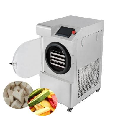 China CE popular vacuum freeze dryer lyophilizer dehydrator for fruit vegetable insect flower tea for sale