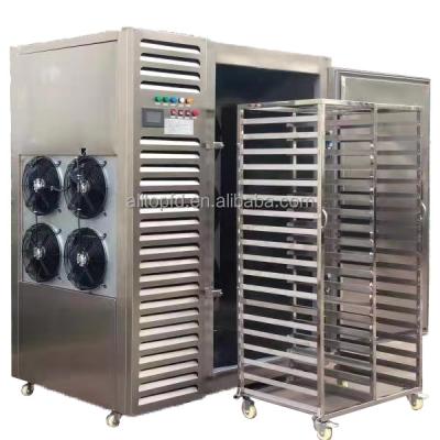 China Industrial Tunnel Blast Freezer For Frozen Fish, High Quality Industrial Iqf Tunnel small Blast Freezer For Frozen Fish for sale