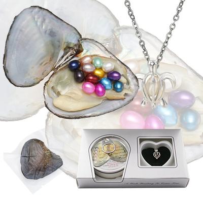 China Wholesale High Quality Natural Freshwater Pearl Vacuum Packed Pearl Oysters Freshwater Pearl Oysters for sale