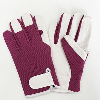 China Hook and Loop Cuff Sheep Leather Work Gloves for Driver in Carton Size 28*28*65cm for sale