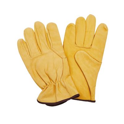 China LC10990 Rough Rider Cowhide Leather Classic Driver Gloves with Elastic Back Gold Made for sale