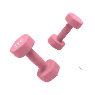 China Commercial Use Gym Fitness Weightlifting Body Training 2 Kg Dumbbell Set Weight Dumbbell For Woman for sale