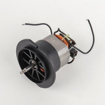 China / 220v electric blowing pump using DC motor for sale for sale