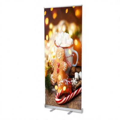 China Healthcare institutes factory price retractable stand roll pull up stand banner design for promotion display for sale