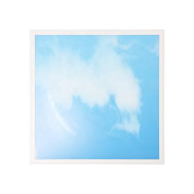 China Hotel flat recessed 600*600mm skypanel 40W blue sky led ceiling panel light for sale