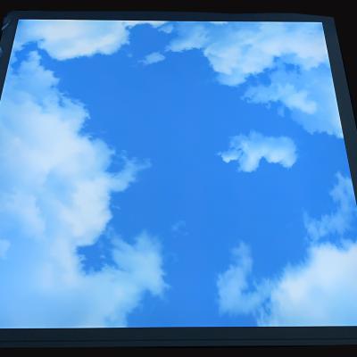 China Modern hot sale CE ROHS TUV Europe sky blue led panel light for sale