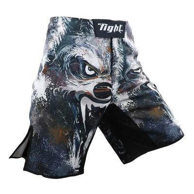 China 100% Polyester Design Mens Boxer Shorts Jiu-Jitsu Martial Arts Breathable Printing Mixed Running Shorts for sale