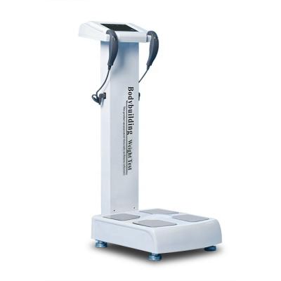 China Professional fitness gym use fat body composition analyzer/body fat analyzer and test for sale