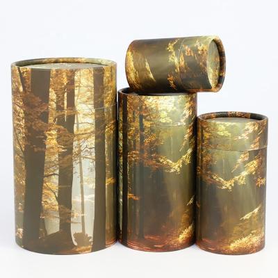 China Factory Eco-friendly Packaging Cardboard Pet Caskets Cremation Urn Ashes Biodegradable Burial Dispersing Tube for sale