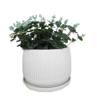 China Modern durable FLOWER POT WITH SAUCER nordic decor glazed cement succulent planter terracotta pot plant ceramic flower pots for sale