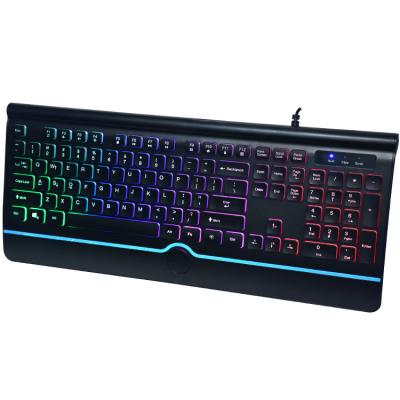 China Custom Letter Illumination Membrane Printing Ergonomic Gaming Keyboard for sale