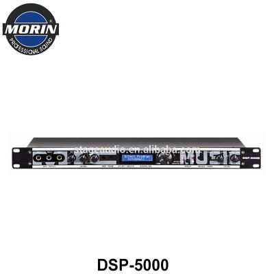 China ECHO/REV/ECHO+REV Digital Processor Return Morin DSP-5000 Audio Exterminator for sale