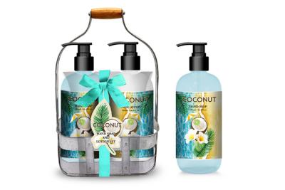 Chine Le savon de main de casier métallique et le cadeau de lotion place 2pcs le chariot Bath Set à vendre