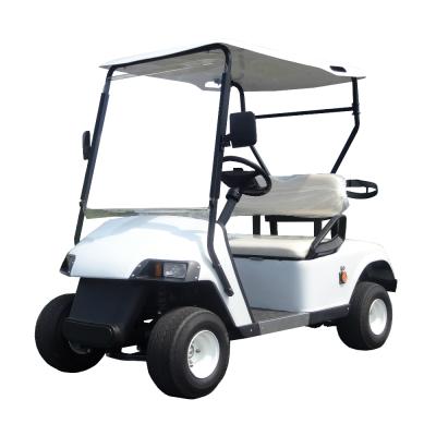 China Golf Place 48V Golf Cart Single Seat Electric Golf Cart For Adult for sale