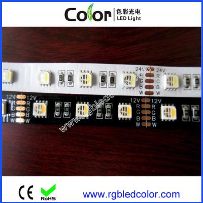 China DC12V 24V 30 60 72 84 96 120led/m rgbw 4 de 5050 smd en 1 tira llevada en venta