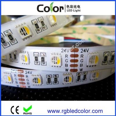 China El rgbw del smd del alto brillo los 60led/m DC12V 24V 5050 llevó la tira en venta