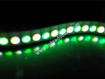 China rgb and white cct dimmable led strip light for sale