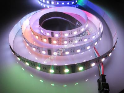 China 5050 dmx full color RGBW led strip for sale