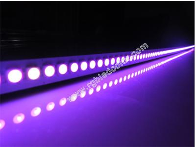 China Tira llevada rígida del programa de RGBW 4in1 144led en venta