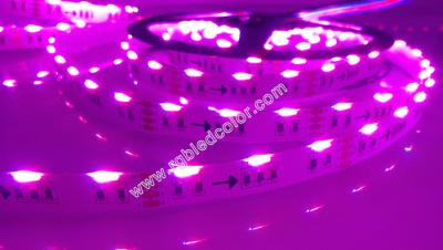 China DC12V 24V 60/120 led side emitting led Cabinet Light for sale