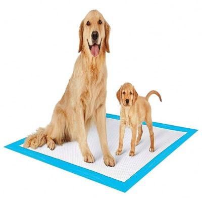 China Disposable Puppy Stocked Pee Training Pet Pad Disposable Nonwoven Wholesale for sale